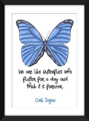 Carl Sagan "Butterflies" Quote - Unframed Print