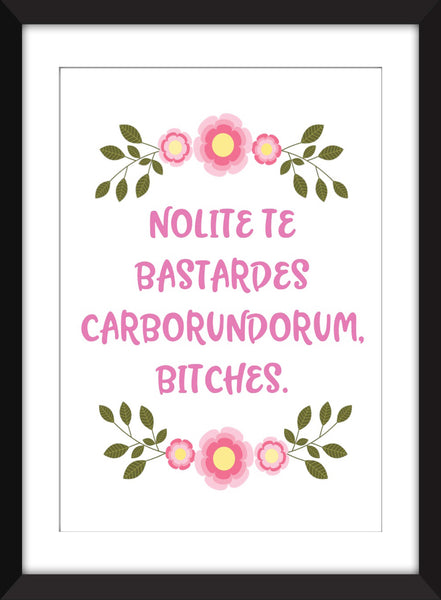 Nolite Te Bastardes Carborundorum, Bitches - The Handmaid's Tale Unframed Print
