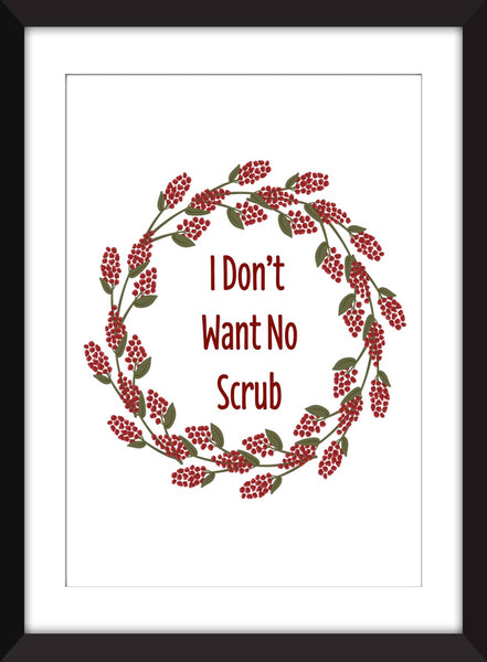 TLC No Scrubs I Don't Want No Scrub - Unframed Print