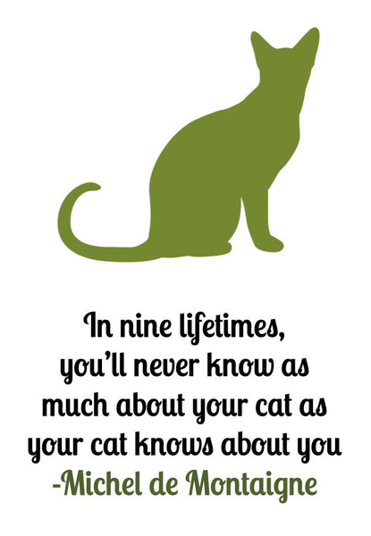 Set of 4 Cat Quotes - Unframed Prints